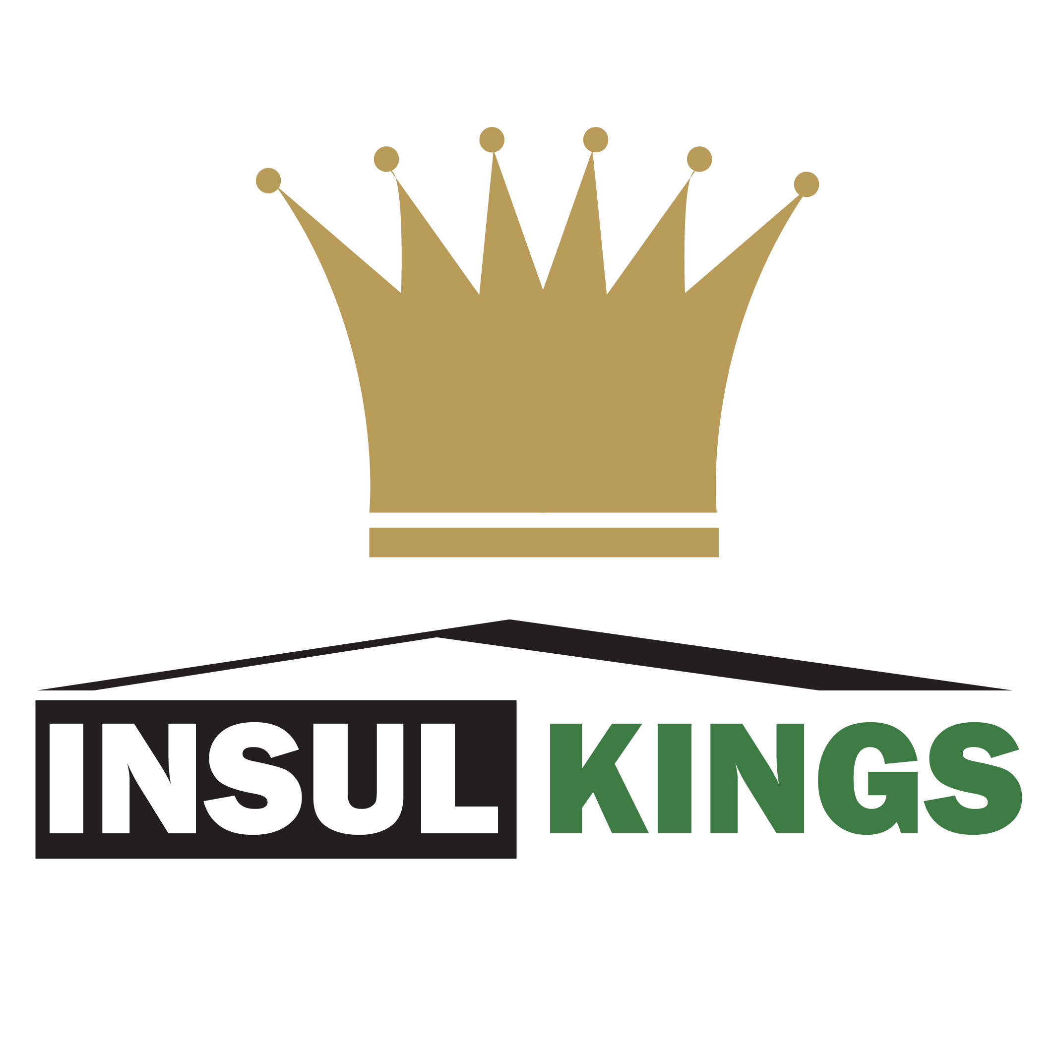 Insul-Kings